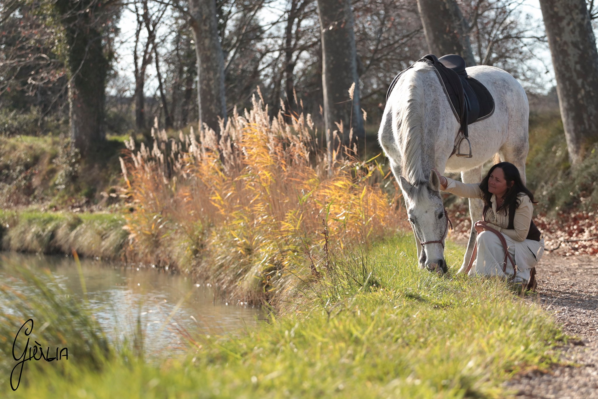 Un cheval.MA.DI