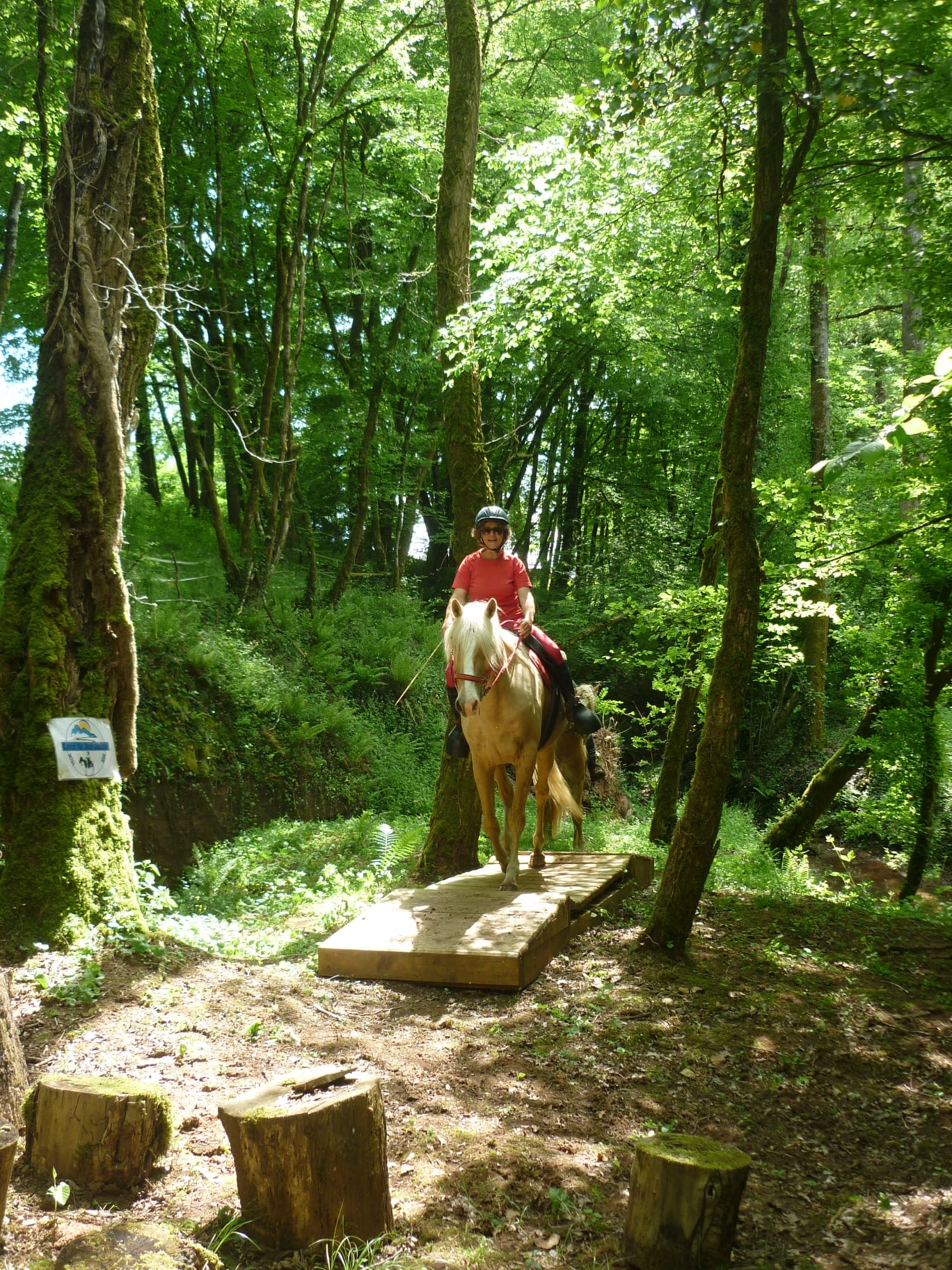 Western Attitude 19